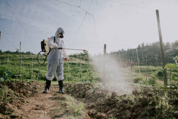 Best Ant Control Services  in Ogallala, NE