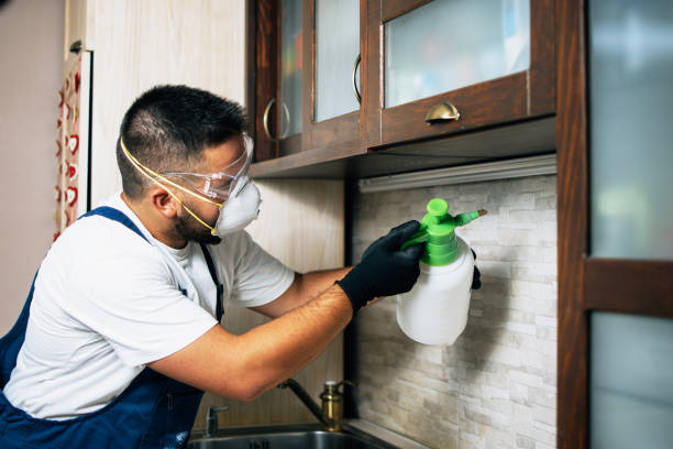 Best Pest Removal Services  in Ogallala, NE