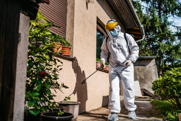 Best Flea Control Services  in Ogallala, NE