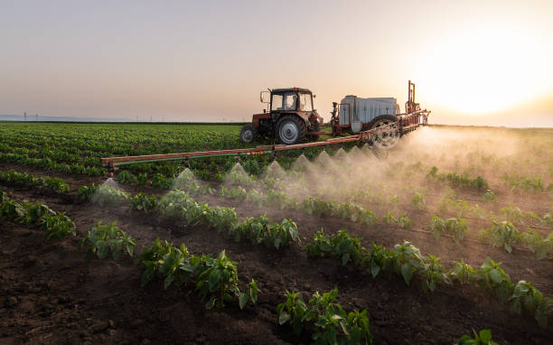 Best Pest Prevention Services  in Ogallala, NE