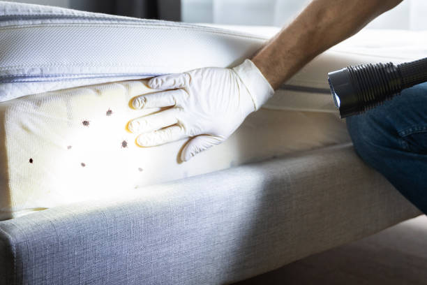 Trusted Ogallala, NE Pest Control Experts