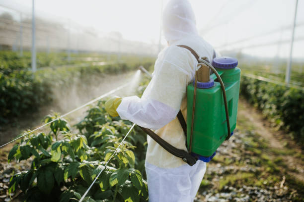 Best Wildlife Control Services  in Ogallala, NE